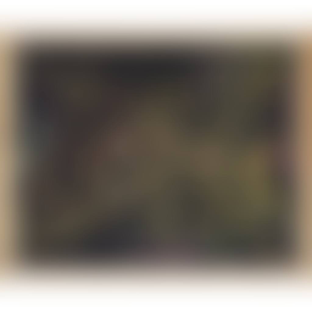 LA RAIE (preview)