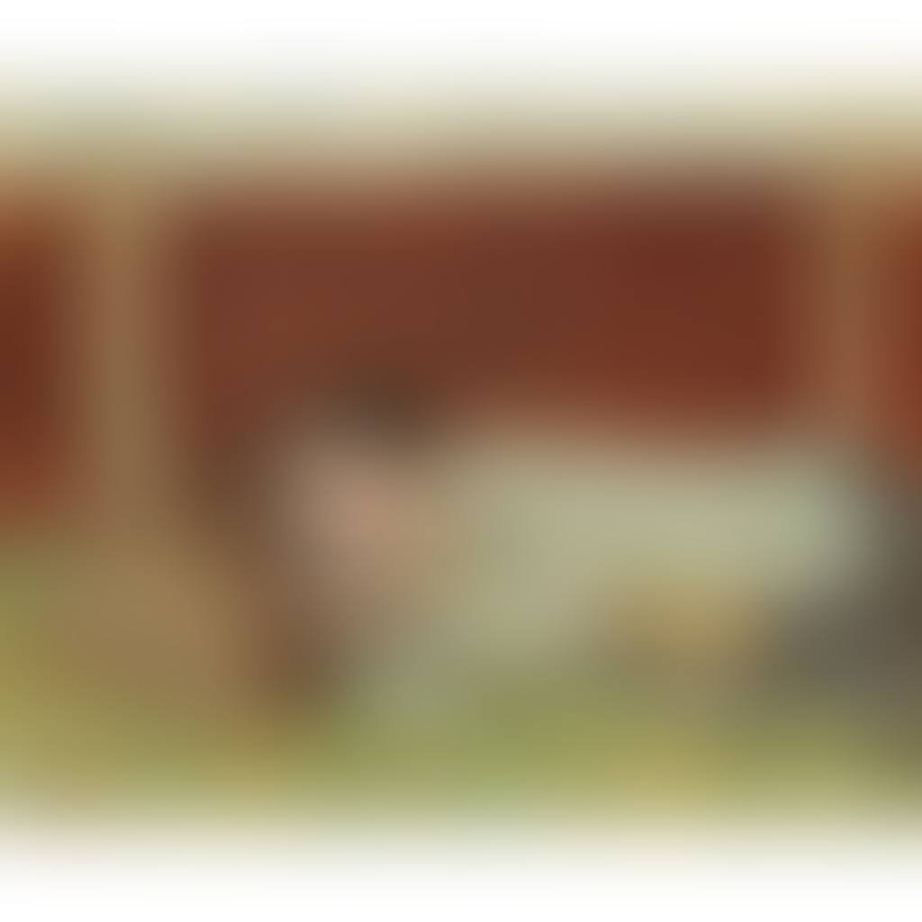 BOAT FIELD SLEEPER (preview)
