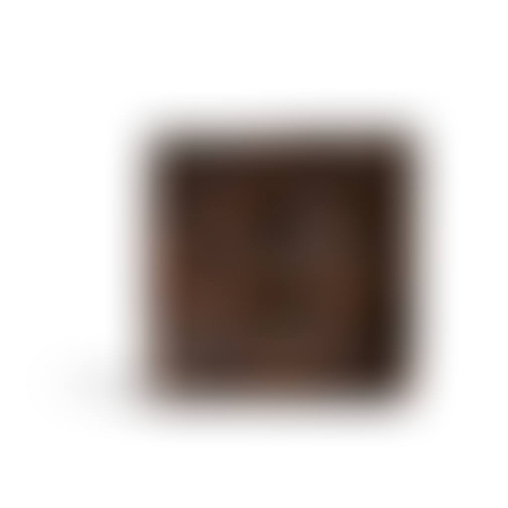 Square dish (preview)
