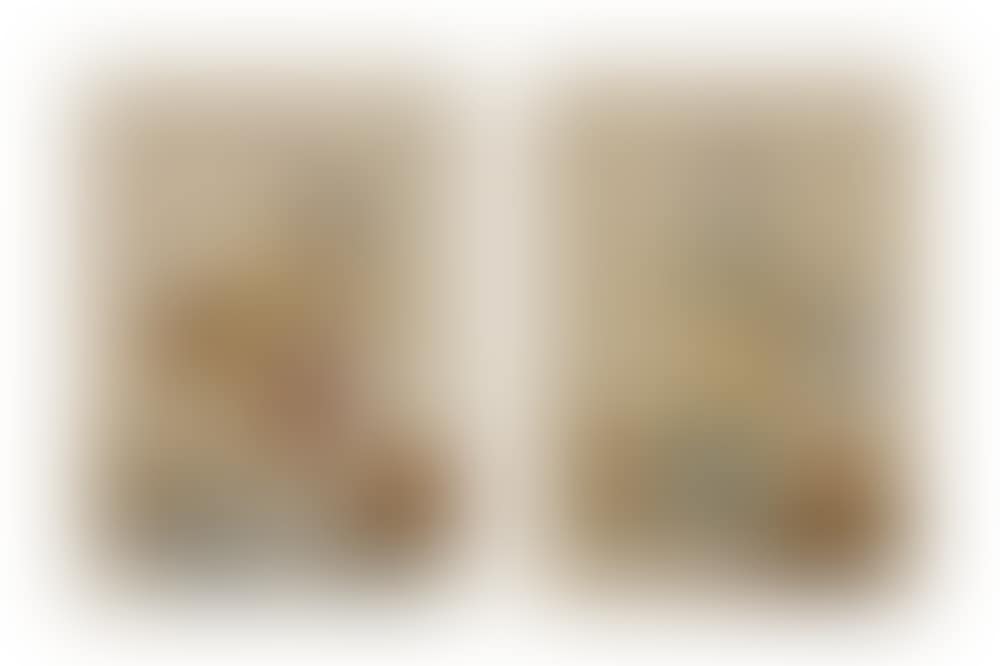 A washerwoman and box maker (preview)