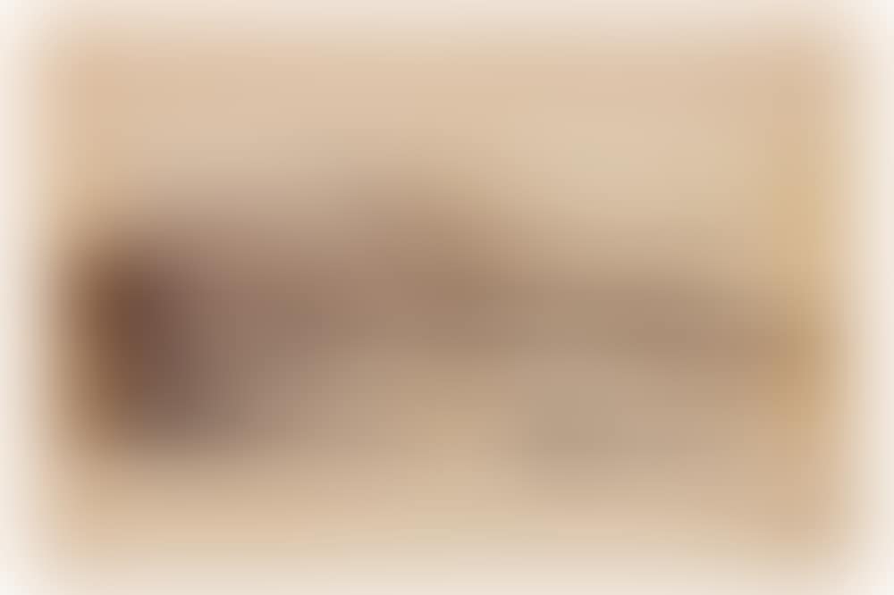 TWO-PART PANORAMA OF QUEENSTOWN ON LAKE WAKATIPU (preview)