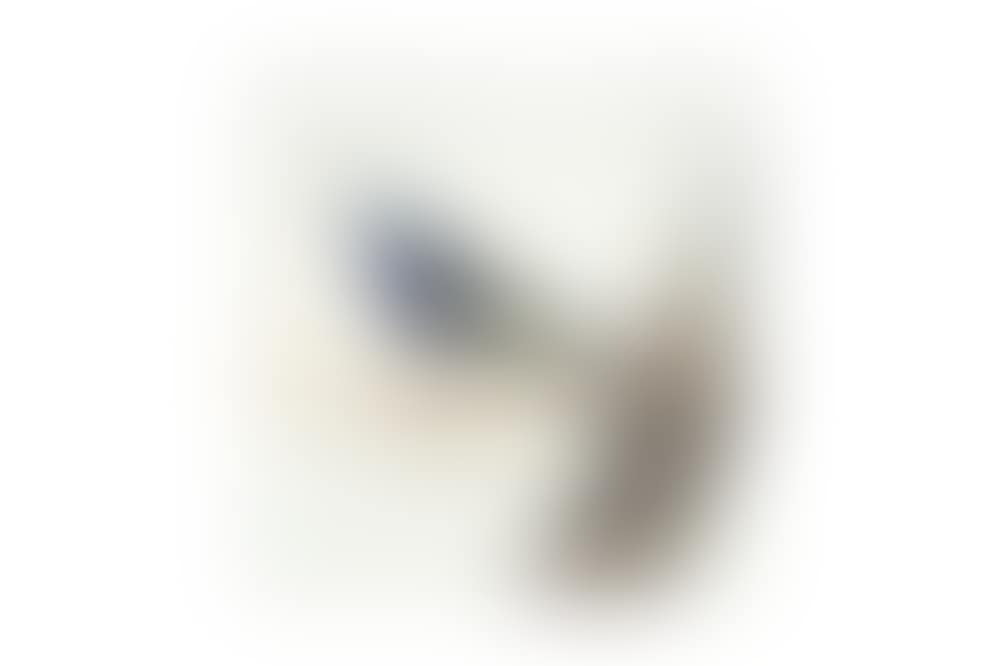A CHINESE EXPORT PAINTING OF A BIRD (preview)