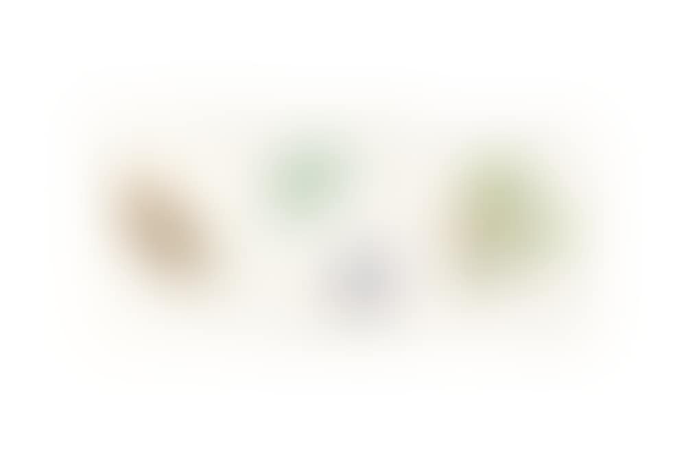 THREE CHINESE EXPORT PAINTINGS OF BUTTERFLIES (preview)