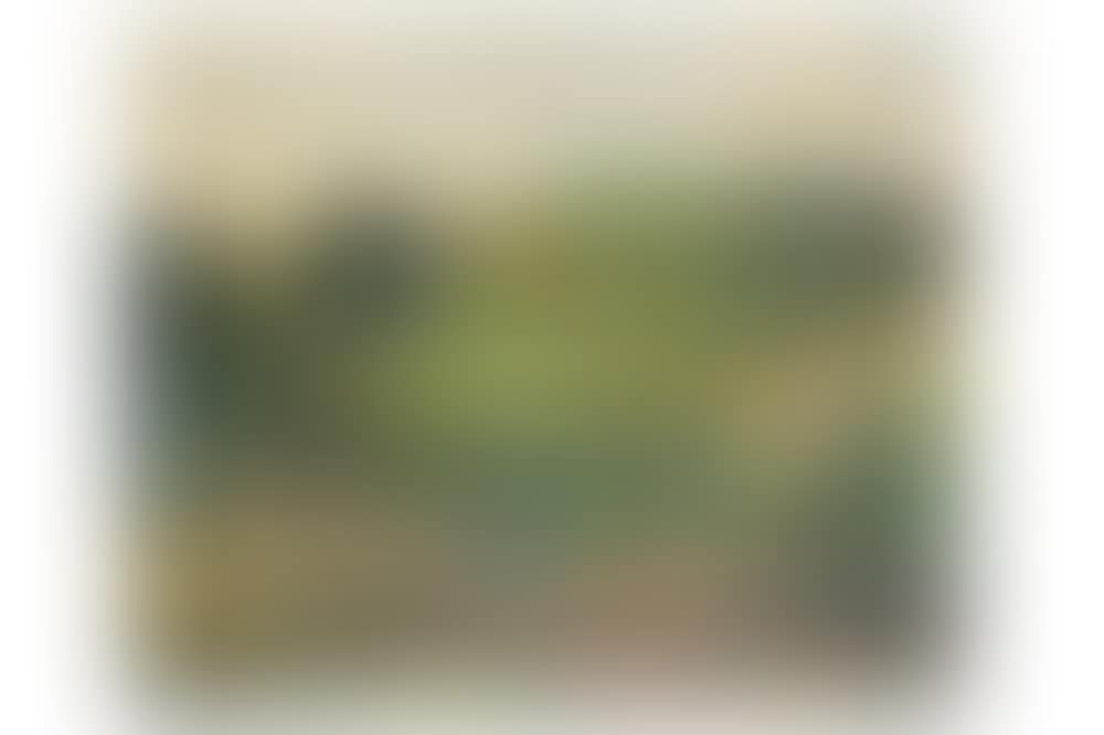 An extensive Provence Summer Landscape (preview)