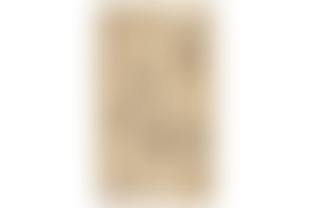 Studies of figures (preview)