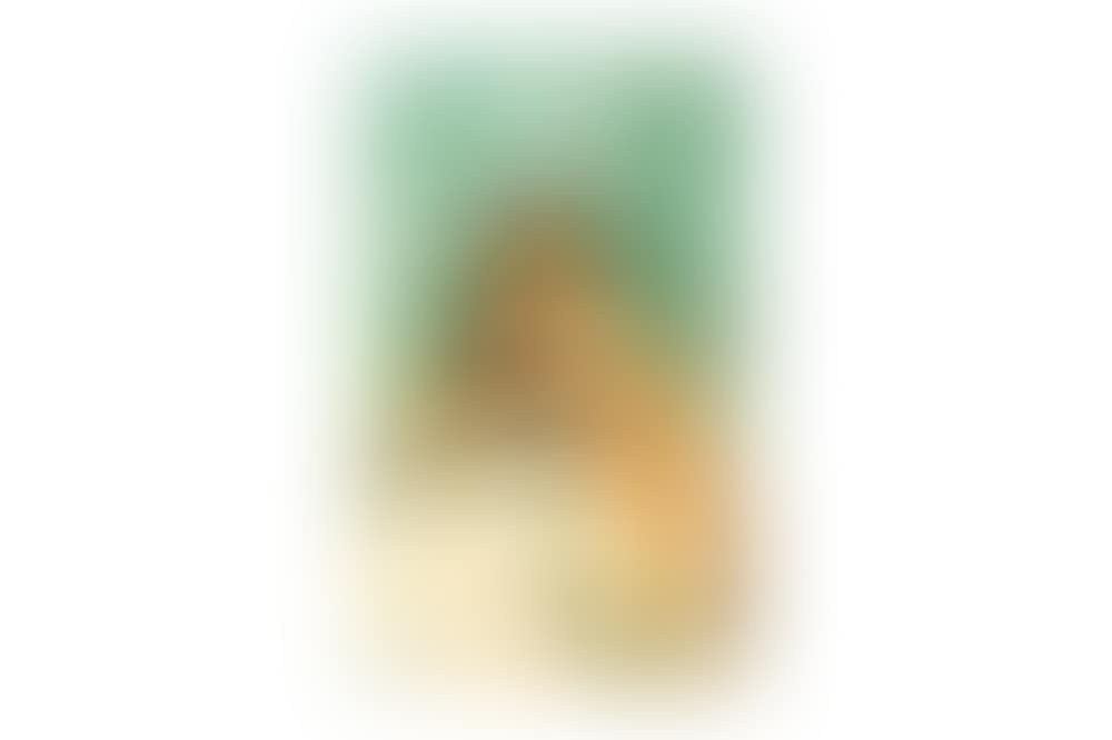 Tell Me Beautiful Untrue Things (preview)