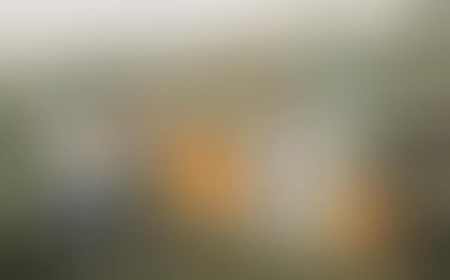 'Save or Delete (Greenpeace Print) (preview)