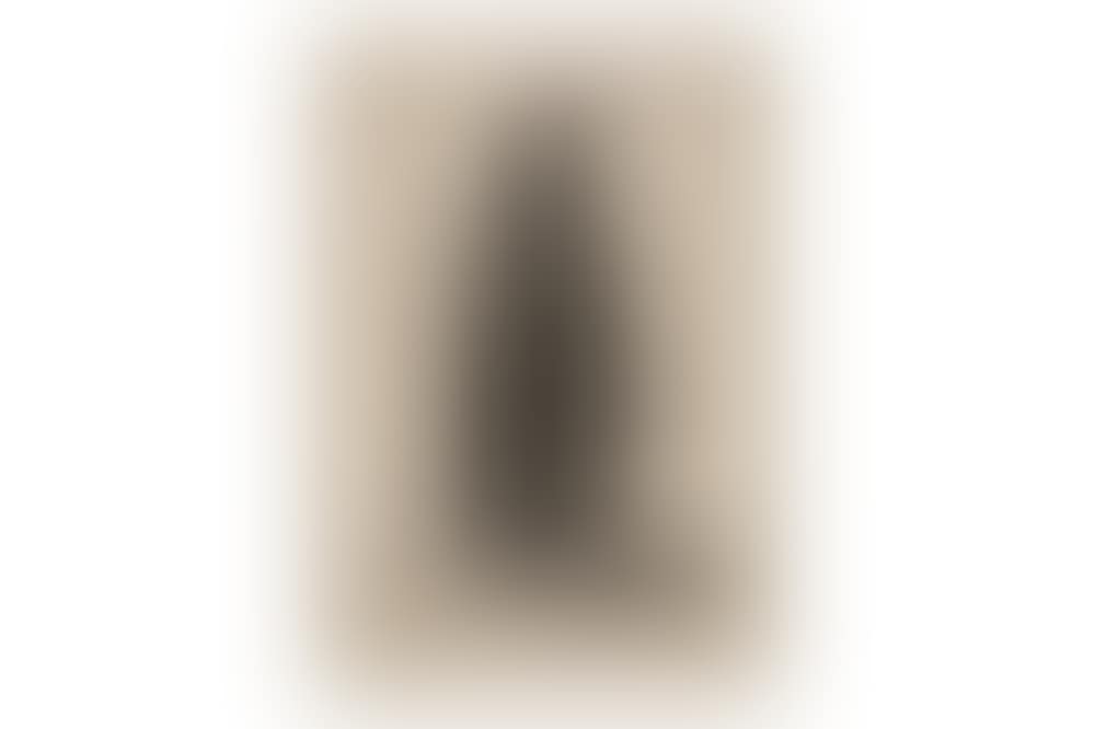 Mulier Coloniensis (preview)