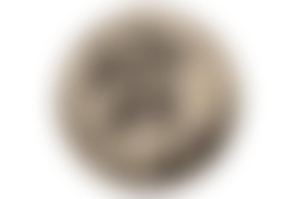 Women's Heads Framed in Roundels (preview)