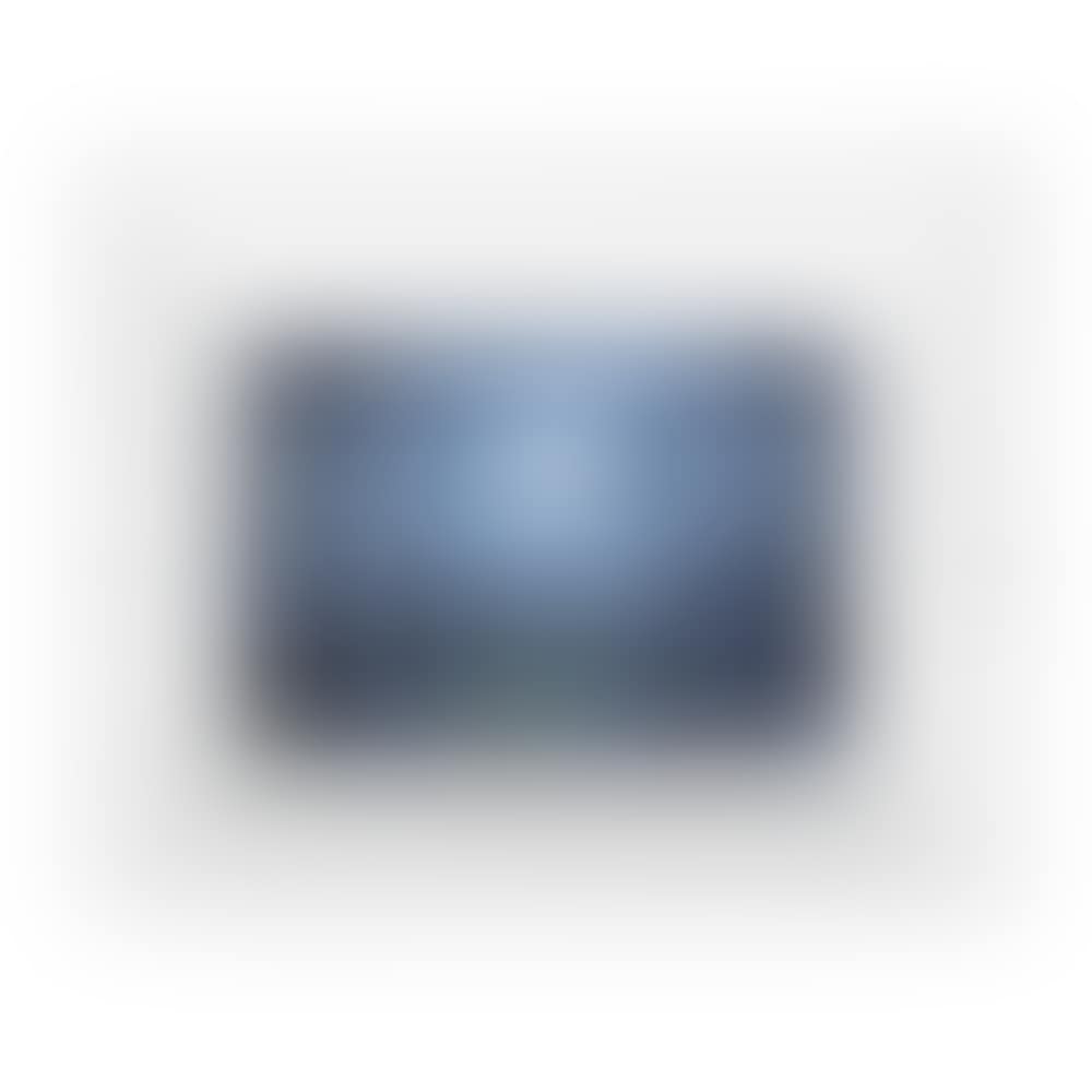 Vide-Poche (preview)