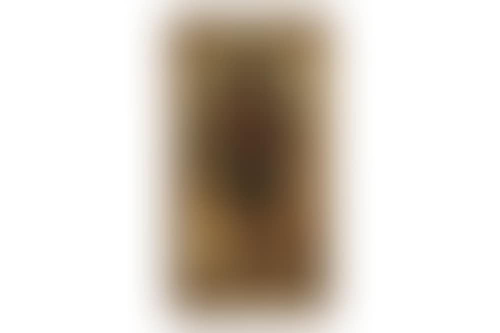 A pioneer (preview)