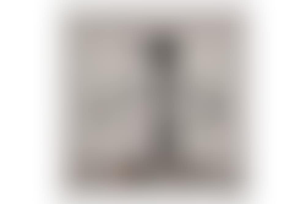 Walled Off Hotel Box Set (preview)