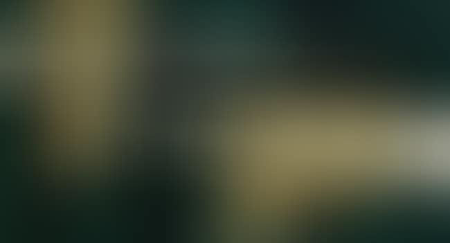 Abstract No 9 (preview)