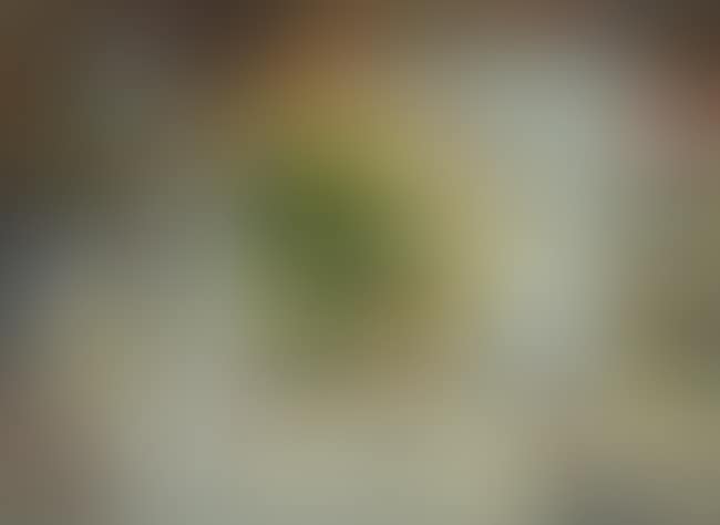 Villefranche (preview)