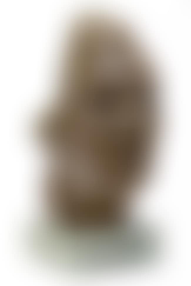 Head of man (preview)