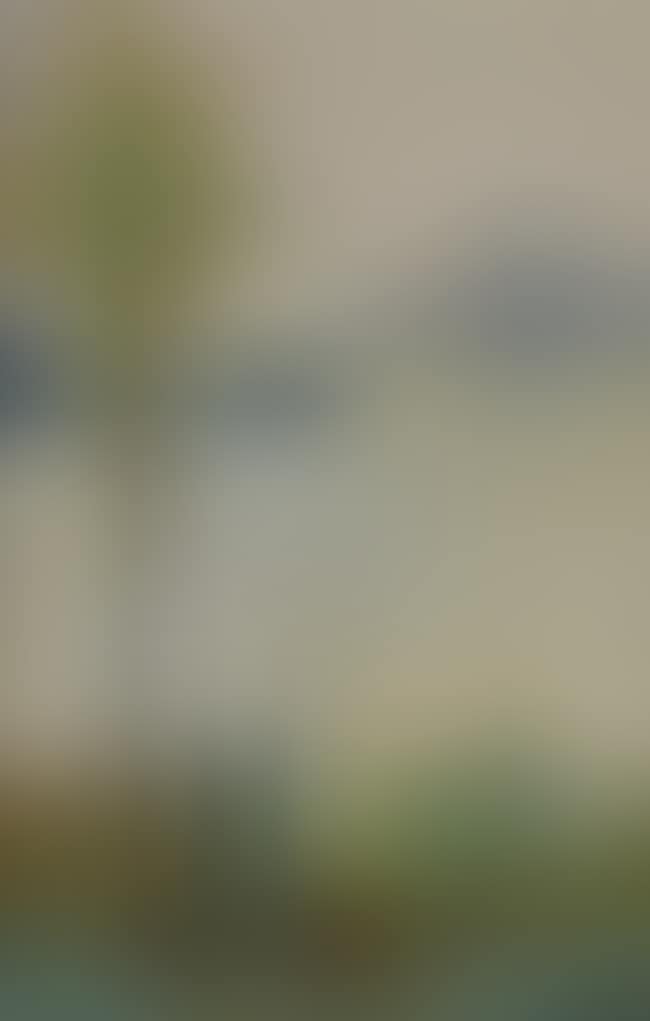 Figures by a lake (preview)