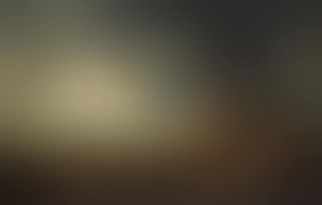 A dune landscape with windmills (preview)