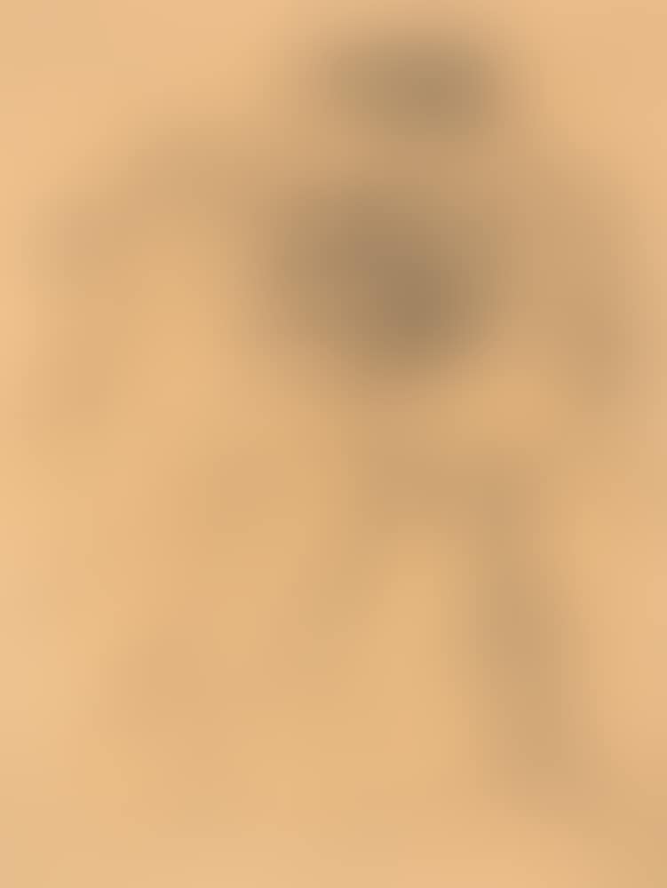 Untitled (preview)
