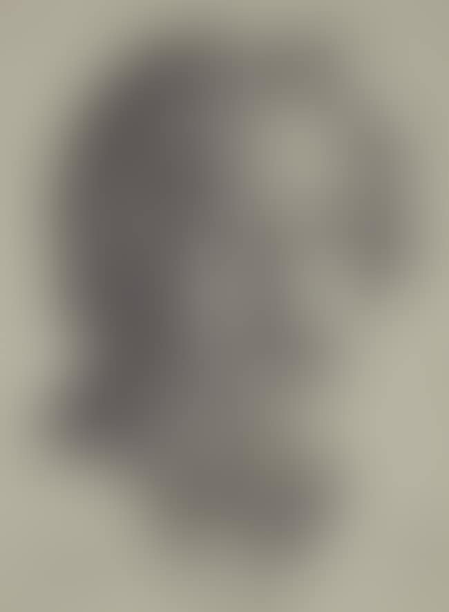 Portrait of Albert Einstein (preview)