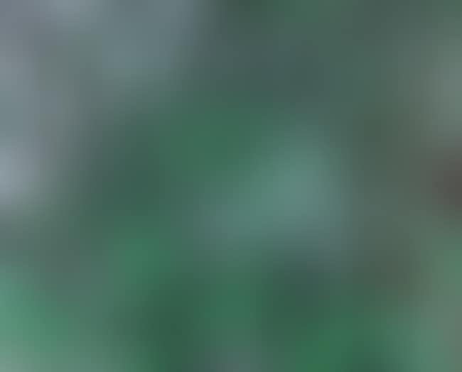 Multiplication (preview)