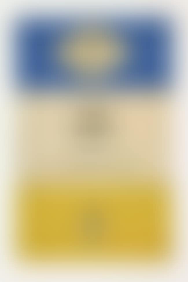 The Idiot (Ukraine (preview)