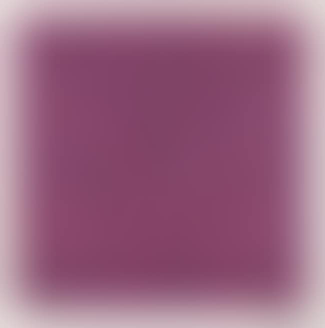 serigraph in colours on wove (preview)