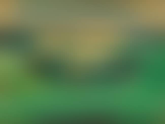 Paysage (preview)