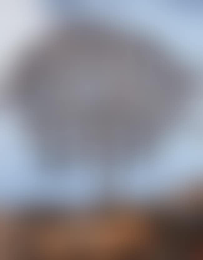 The Tree (Pictures of Junk) (preview)