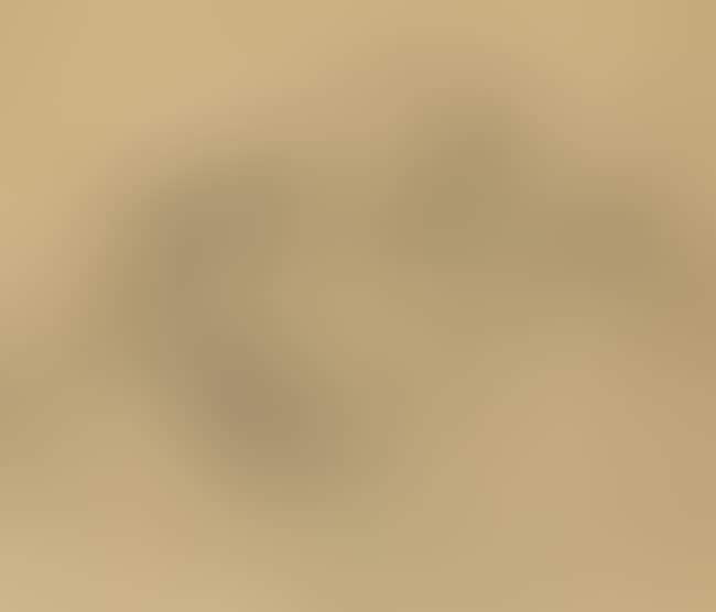 Sunita and her son (preview)