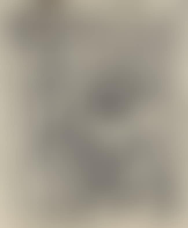 Study for Carcasses on Bench (preview)