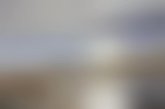 Wigeon flying over a lake (preview)