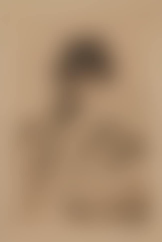 Self-portrait, [Asplund 271] (preview)
