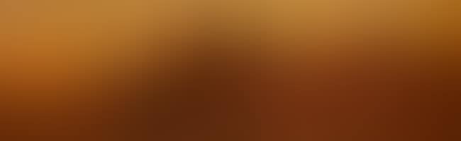 Camel train at sunset, (recto), unfinished composition, (verso) (preview)