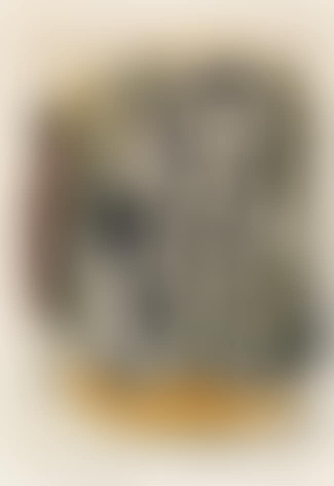 Torero (preview)