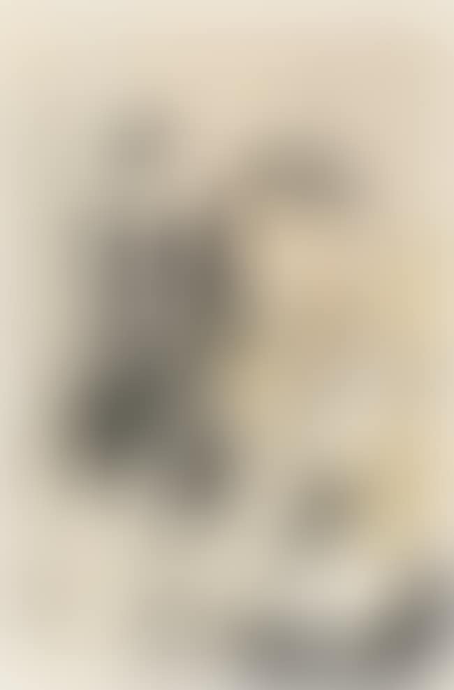 Torero (preview)