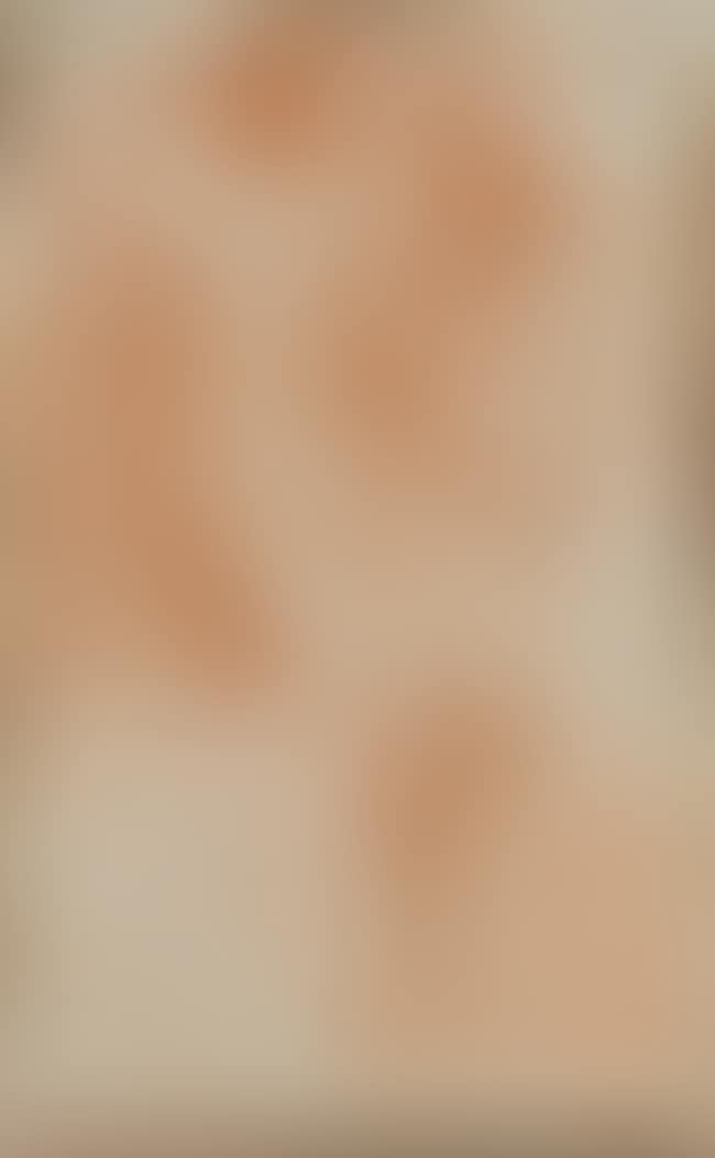 The lamentation of Christ with the Virgin Mary and Mary Magdalene at his feet (preview)