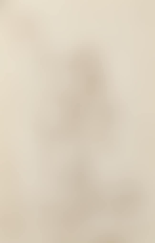 Study of female mythological figure (preview)