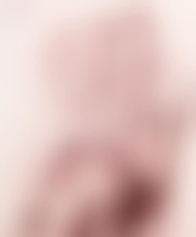 Portrait of Sylvette David 23 (preview)