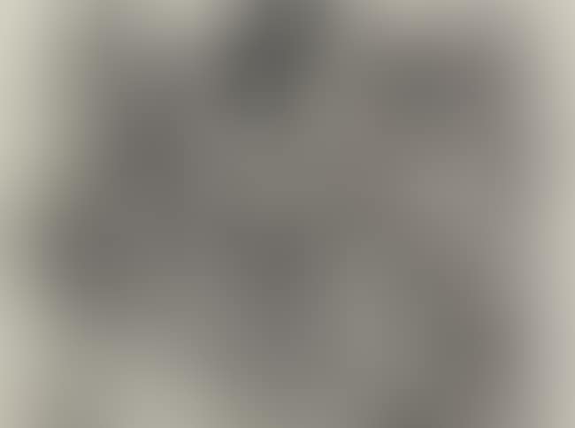 Lletres i gris (preview)