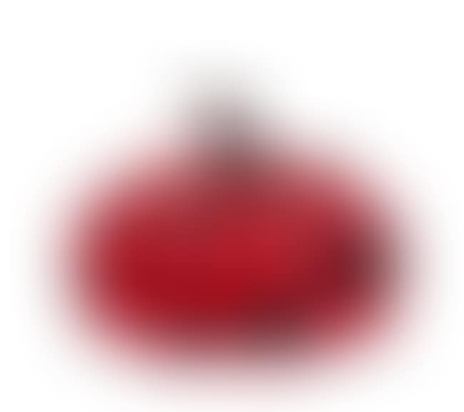 Naoshima Red Pumpkin (preview)