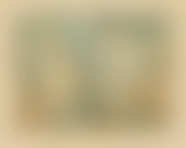 Viens Voir (preview)