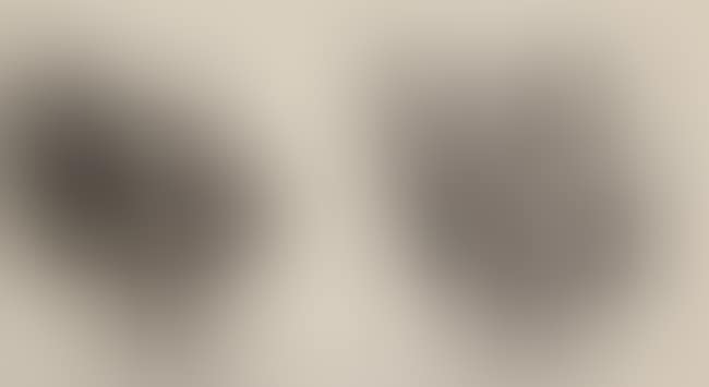Untitled (2248 & 276) (preview)