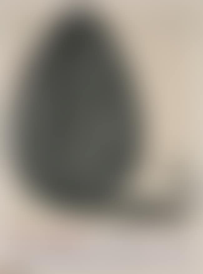 Boy Hidden in an Egg (preview)