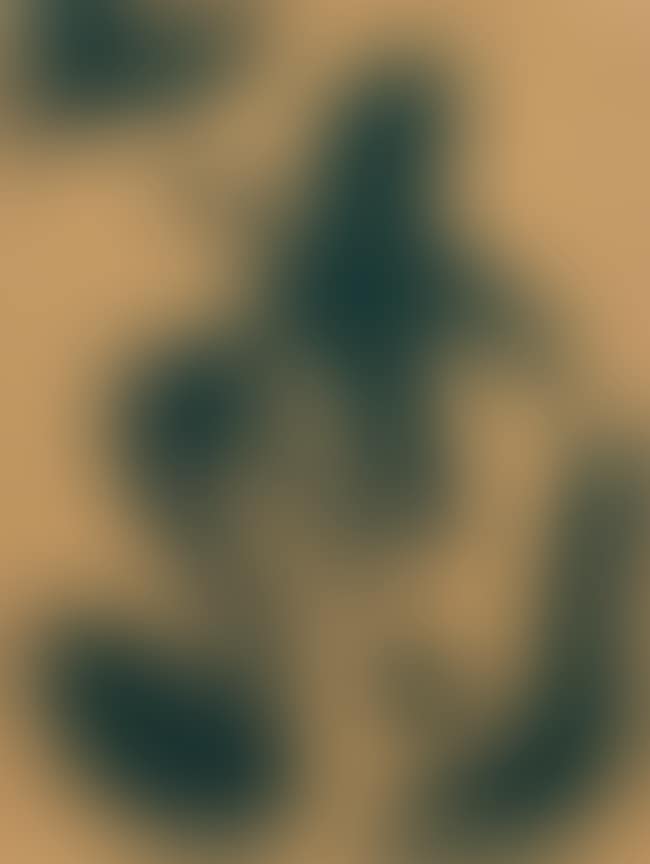 Constellations (preview)