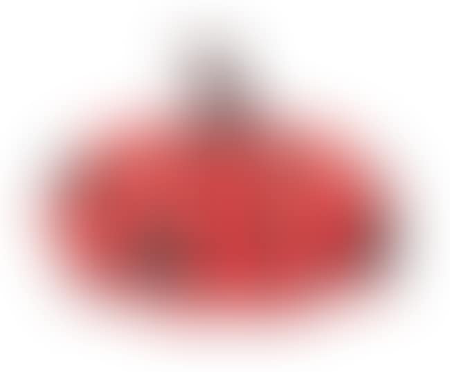 Naoshima Red Pumpkin (preview)