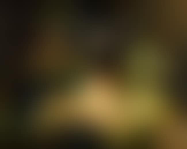Still life of fruit (preview)