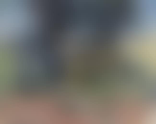Group of figures in a field (preview)
