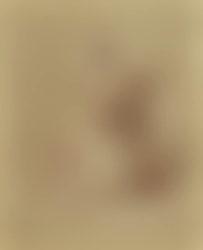 Study of a seated woman, holding a guitar (preview)