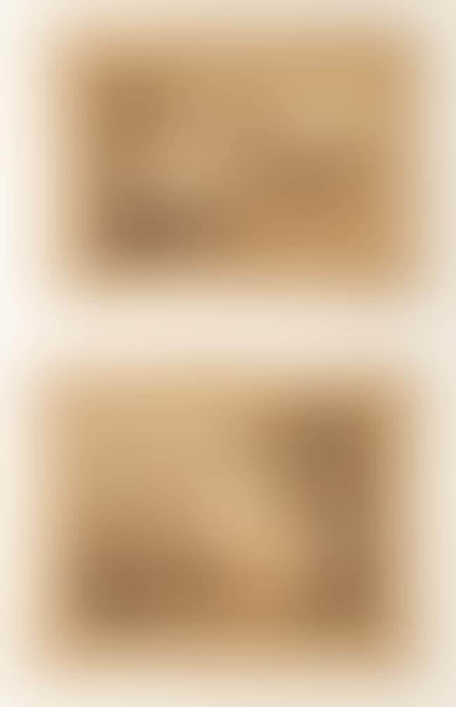 Untitled (preview)