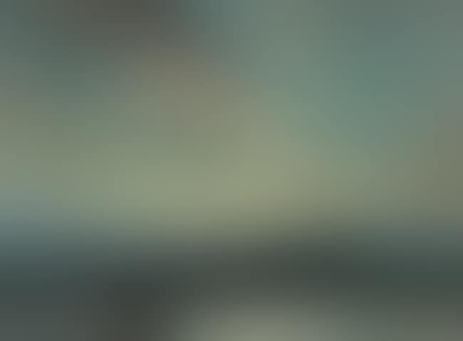 Geese in flight at sunset (preview)